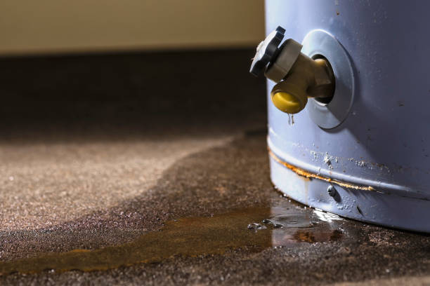 Best Fire Damage Restoration  in Eden Isle, LA