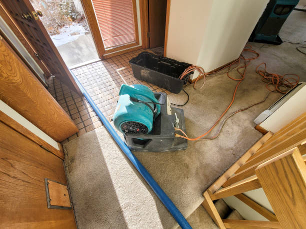 Best Water damage contractors near me  in Eden Isle, LA
