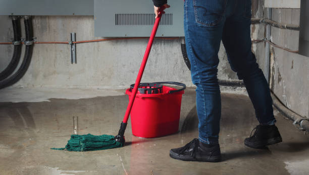 Best Commercial water damage restoration  in Eden Isle, LA