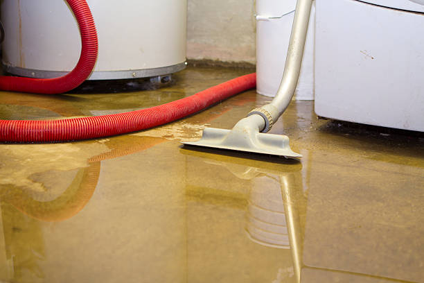 Best Ceiling water damage repair  in Eden Isle, LA