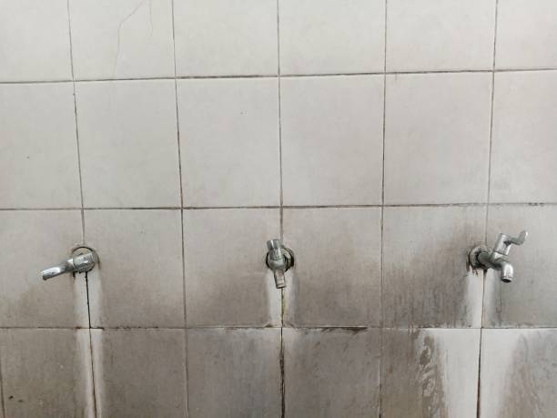 Best Professional water damage repair  in Eden Isle, LA
