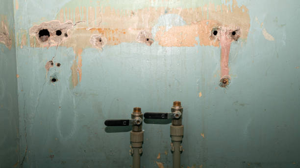 Best Sewage cleanup and water damage restoration  in Eden Isle, LA