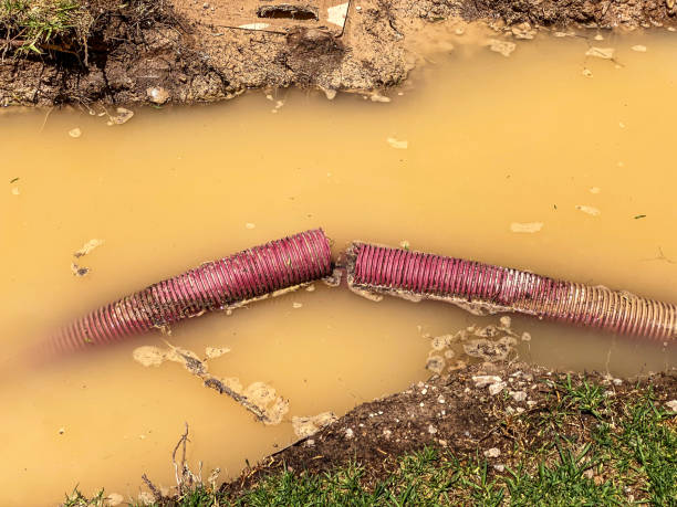 Best Local water damage restoration  in Eden Isle, LA